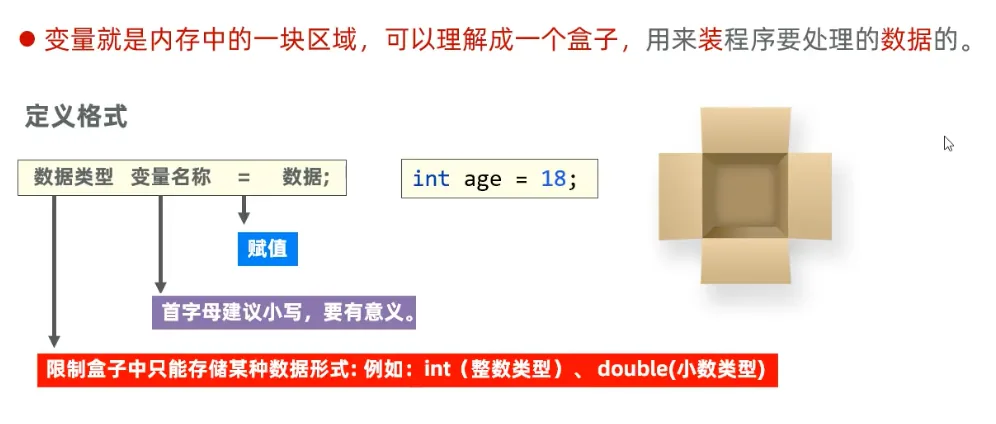 Java 变量声明